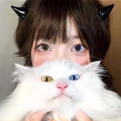 猫行东方